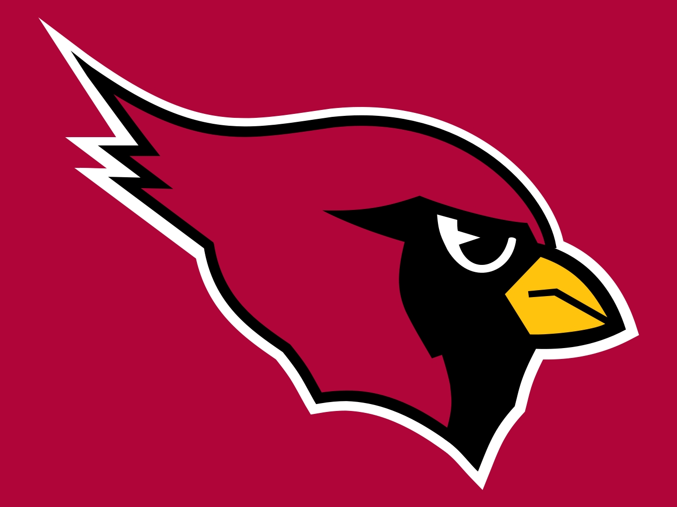 Phoenix Cardinals Pro Sports Teams Wiki