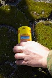 Chernobyl moss