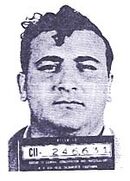 Joe Dippolito