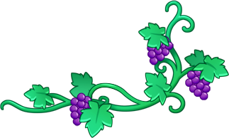 grape vine png