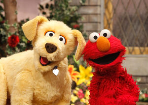 Brandeis&Elmo