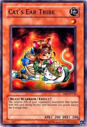 Cats Ear Tribe Deck Links Cats Ear Tribe Deck Links
