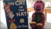 The cat in the hat book