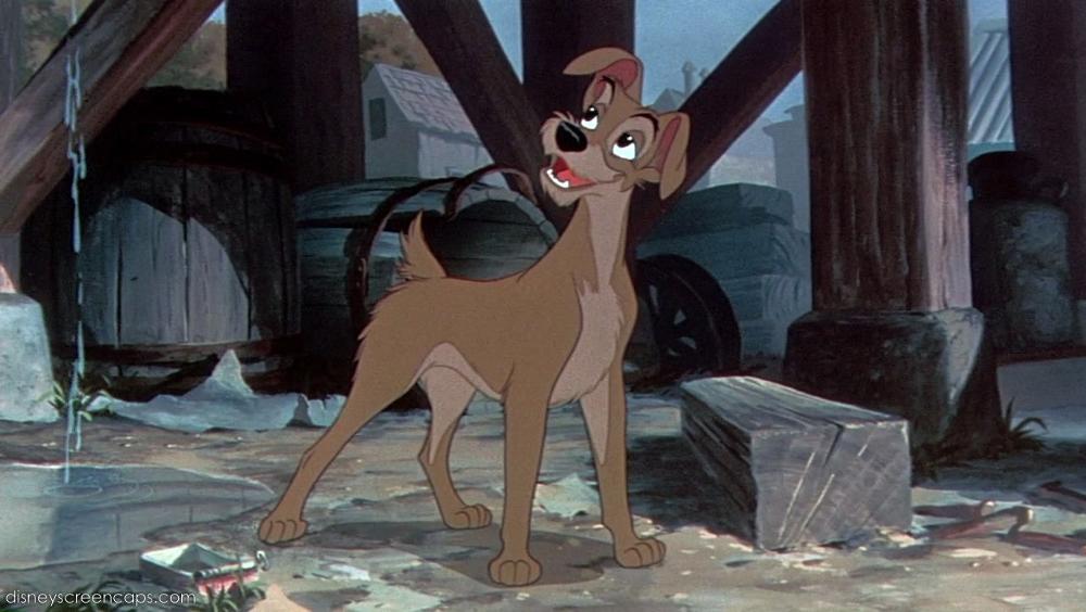 Tramp - The Lady And The Tramp Wiki