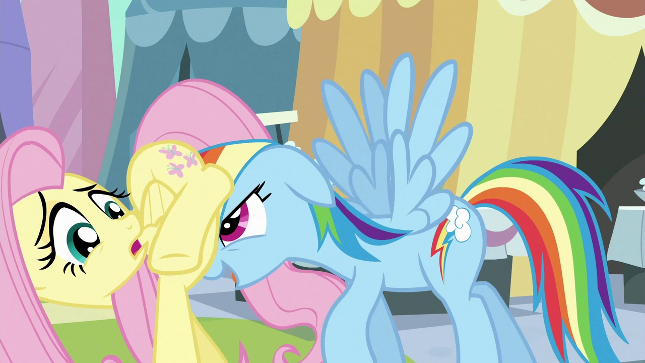 mlp fluttershy x rainbow dash