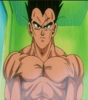 Vegeta 55 ep