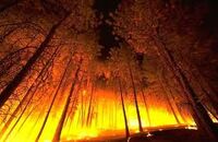 Blazing Realm