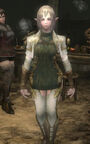 Elf-female