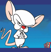 The Brain