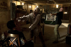 TWD GP 307 0726 0137