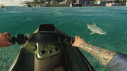 Bullshark