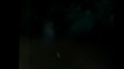 Wererwolf 2