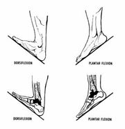 Foot motion