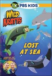 Lost at