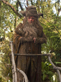 Radagast the Brown