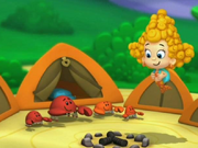 The campsiter