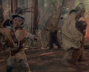 Sanyassan-ueberfall-Ewoks