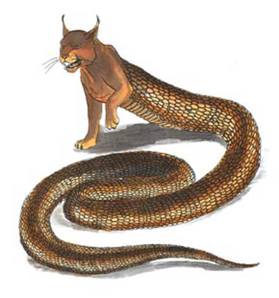 Tatzelwurm - Deadliest Fiction Wiki - Write your own fictional battles ...