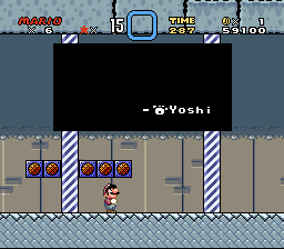 MARIO 00014