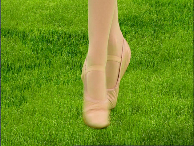 Ballet Slippers - WikiWiggles