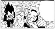 Oniovegeta