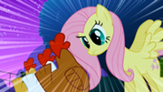 201px-Fluttershy staring at chickens S01E17