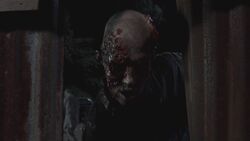 640px-Twd309-000481