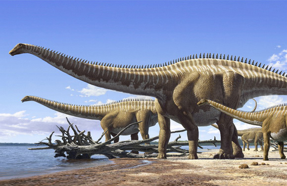 a diplodocus