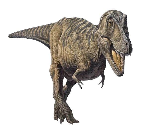 the tarbosaurus