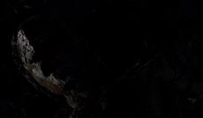 Silas-Awakened (1)
