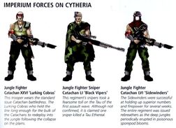 CatachanFightersCytheria