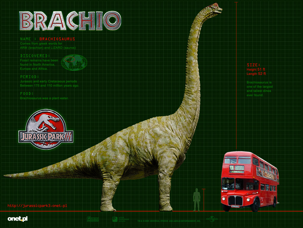 brachiosaurus biggest dinosaur