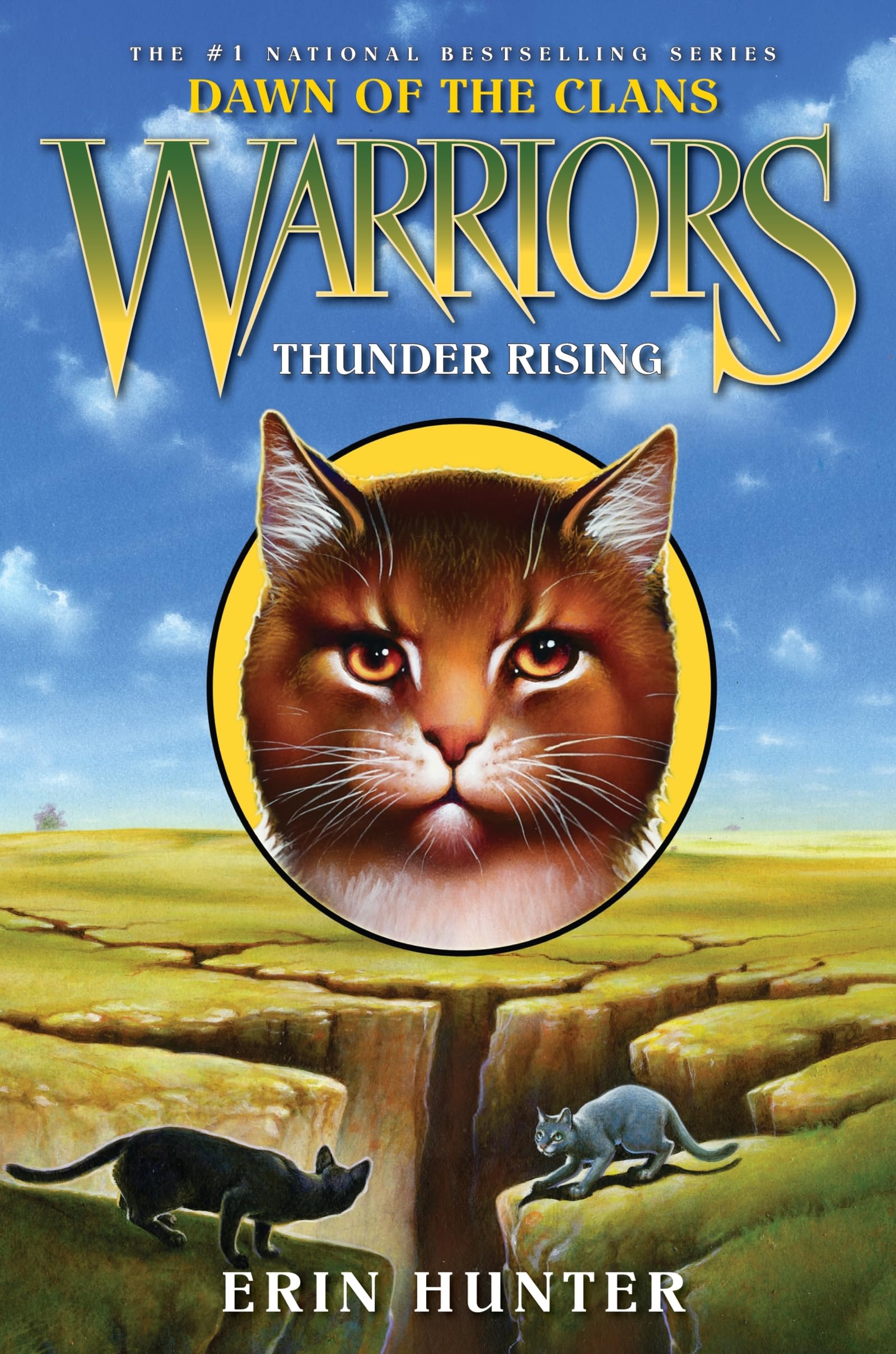 Thunder Rising - Warrior Cats Wiki - Erin Hunter, The Blazing Star