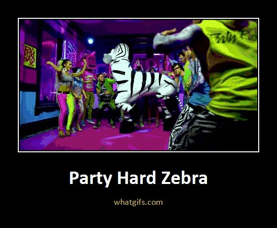 file funny gifs party hard zebra gif