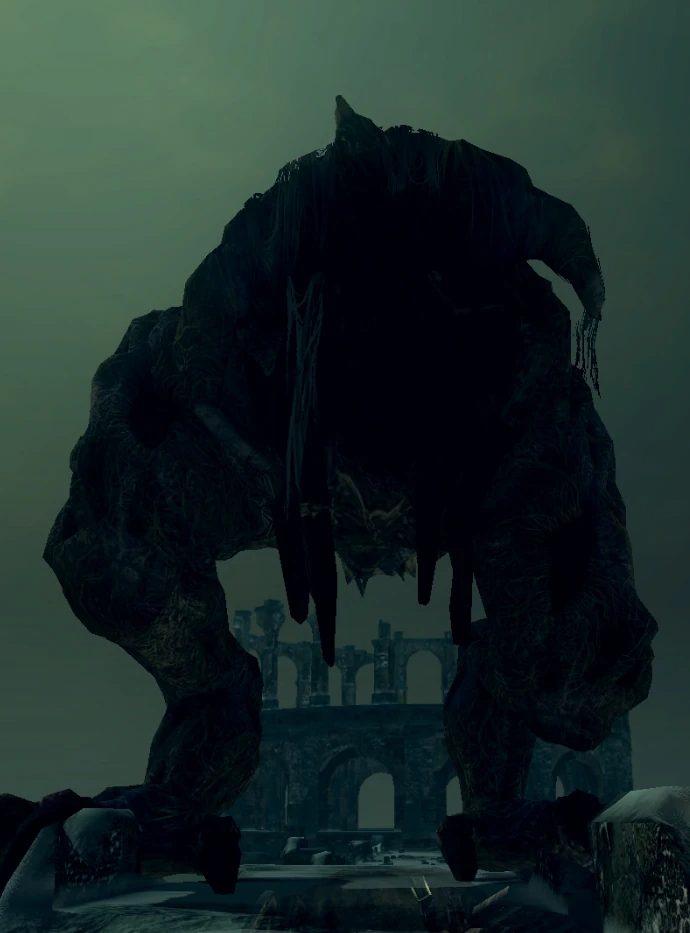 Image Undead dragon legs.jpg Dark Souls Wiki