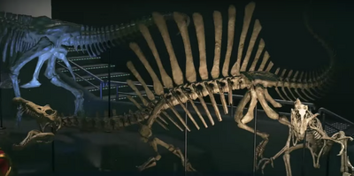 Spinosaurus