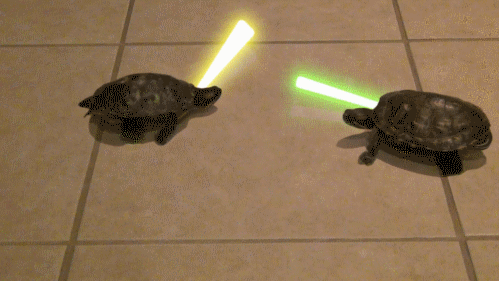 Fighting_turtles.gif