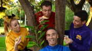 PeanutButter
