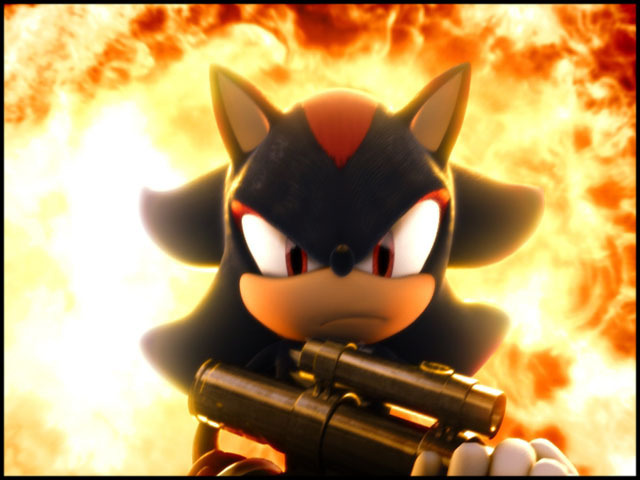 Shadow-shadow-the-hedgehog-6393017-640-480.jpg