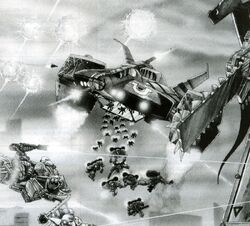 Stormbird flyer