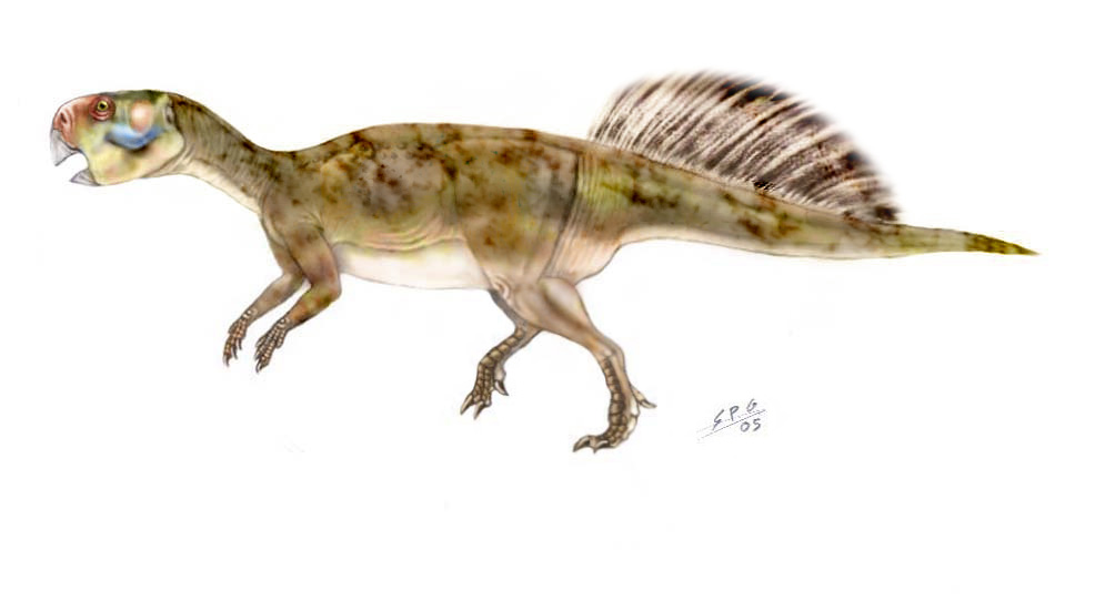 Psittacosaurus.jpg