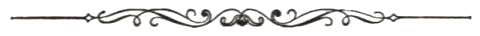 DividerTransparent-1-.png