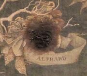 Arcturus E. Black - 22 ans - Mangemort 180px-Alphard_2
