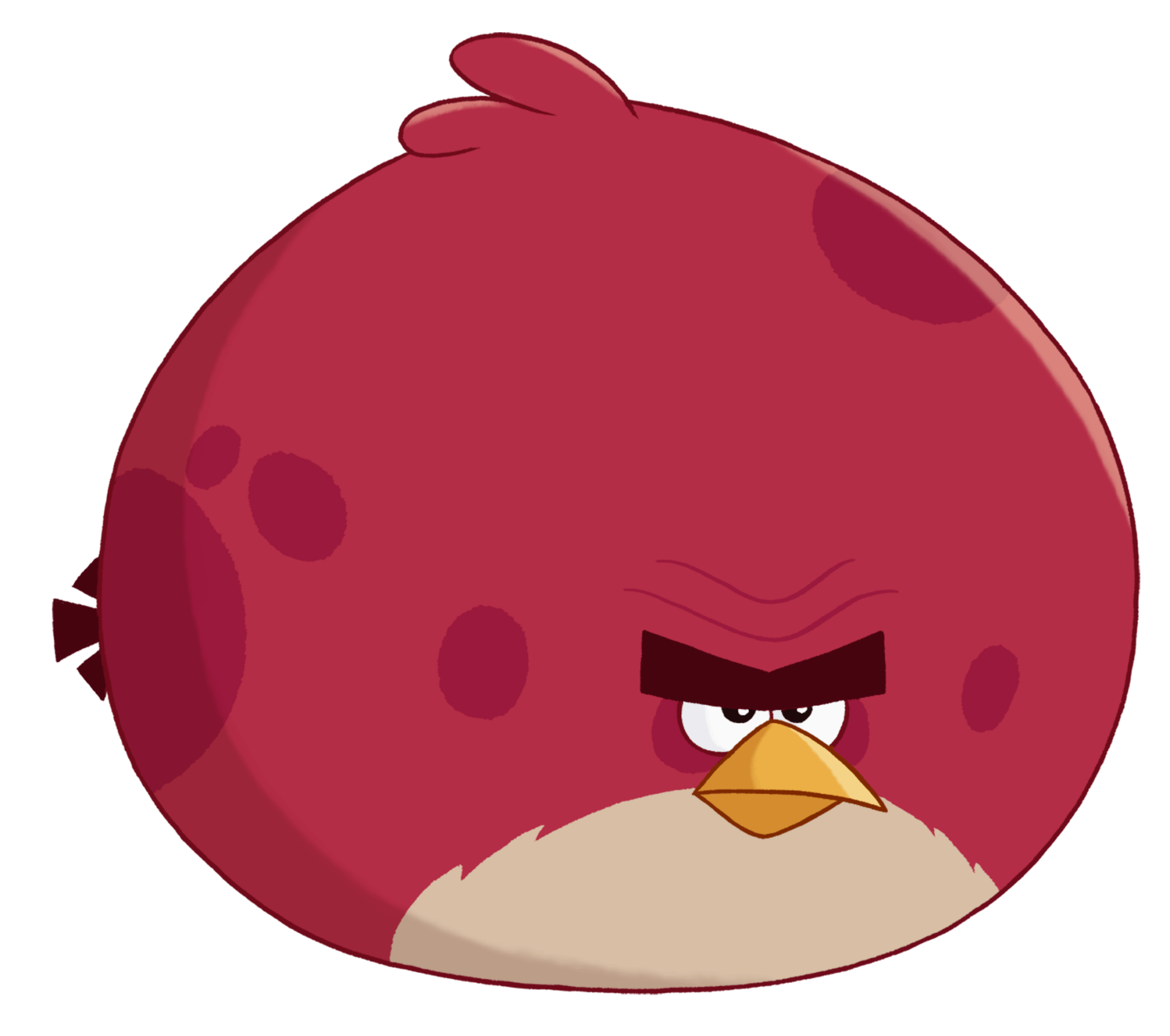 Angry Birds Toons | CAPRICHA NO GRIL