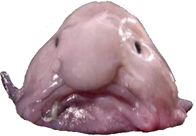 Blobfish-emote.png