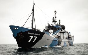 MYSteveIrwin