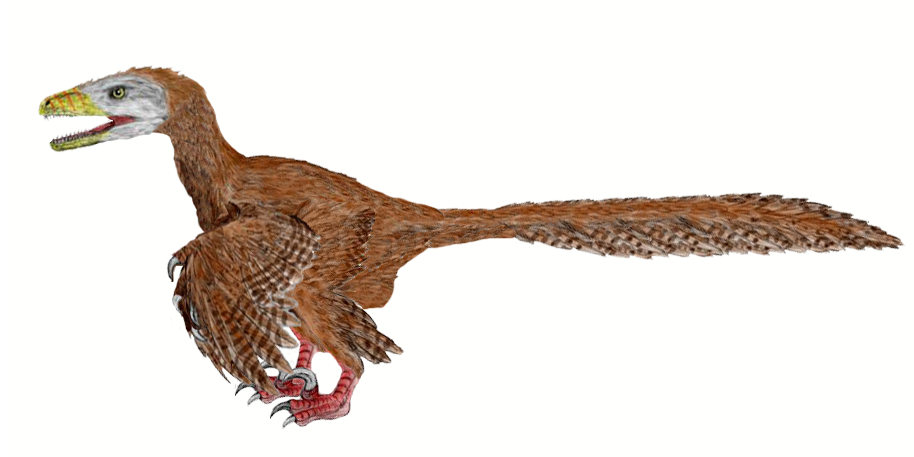 Image - Deinonychus BW-2.png - Dinopedia - The Free Dinosaur Encyclopedia