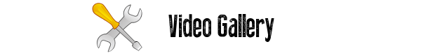 Vidgal