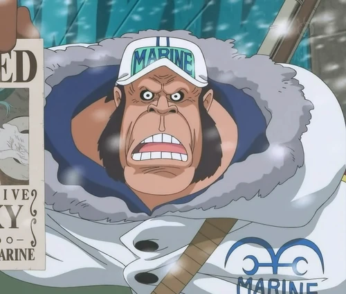 Gorilla The One Piece Wiki Manga Anime Pirates Marines Treasure 