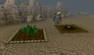 Trollheim herb patch